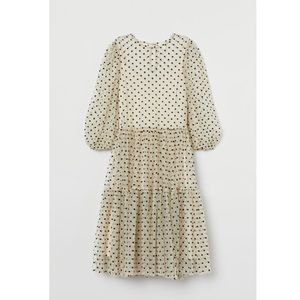 H&M Women’s Shear Polka Dot Dress